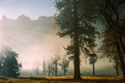 Yosemite Valley, CA