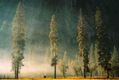 Yosemite Valley, USA